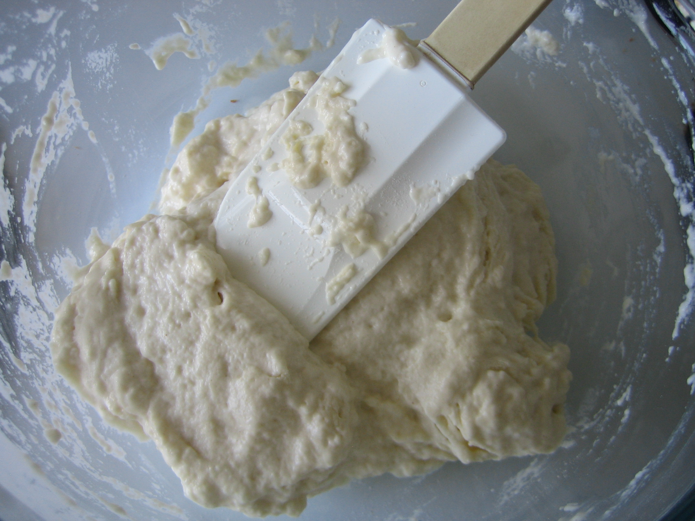 Bread Starter