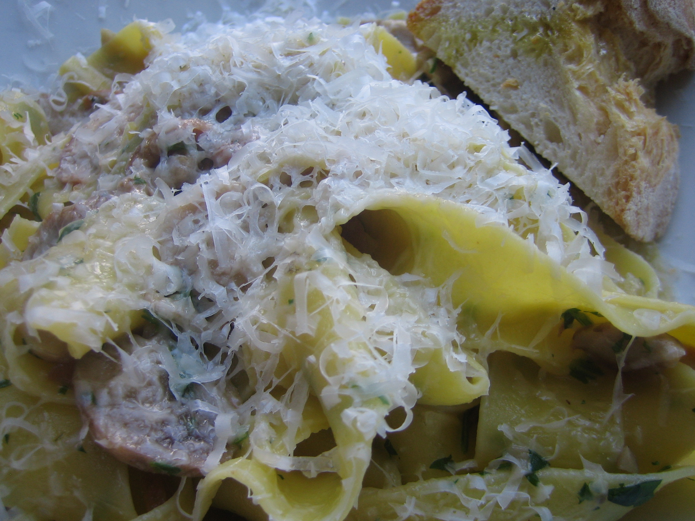 Porcini Pasta DOC2