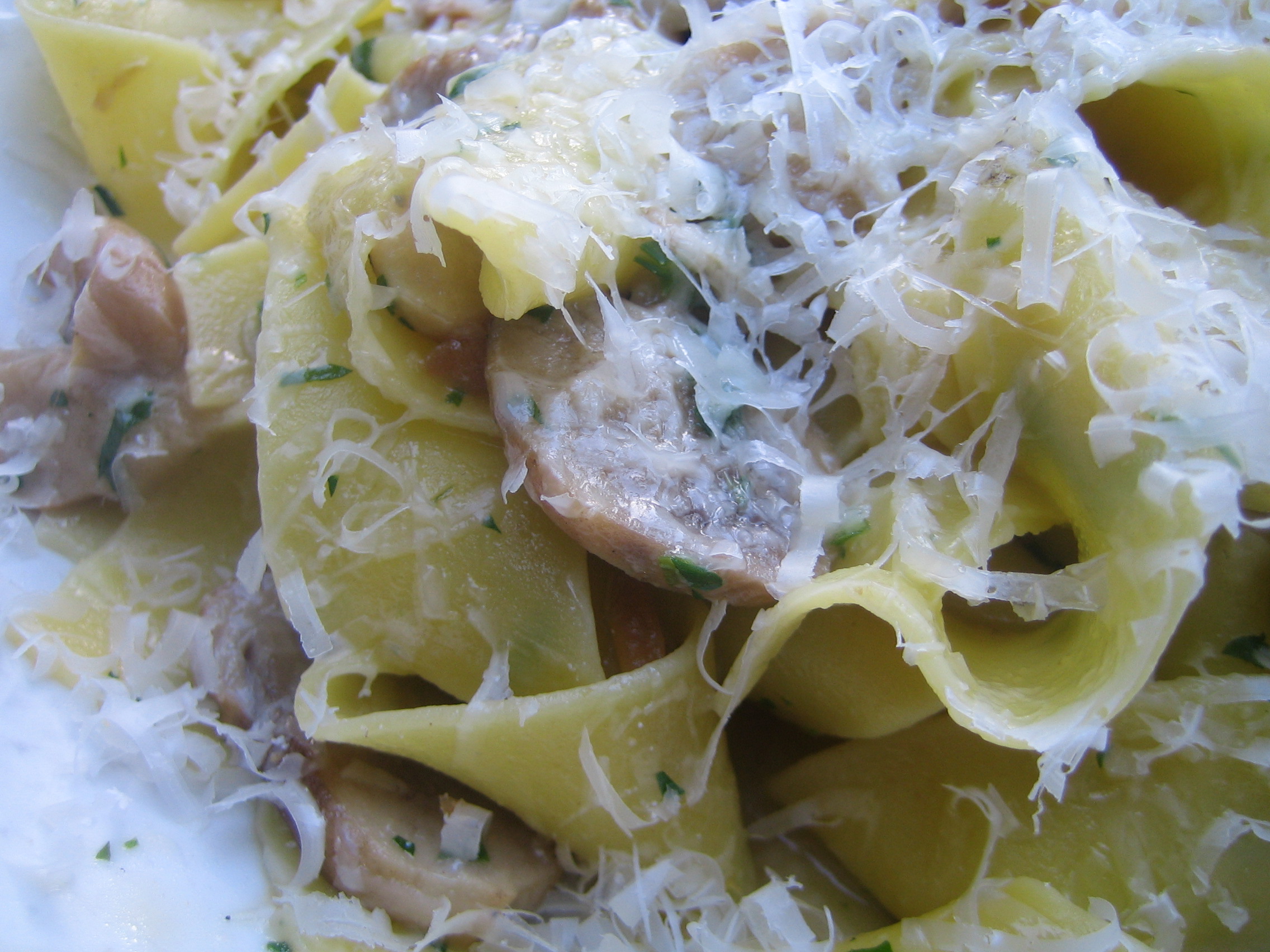 Porcini Pasta DOC