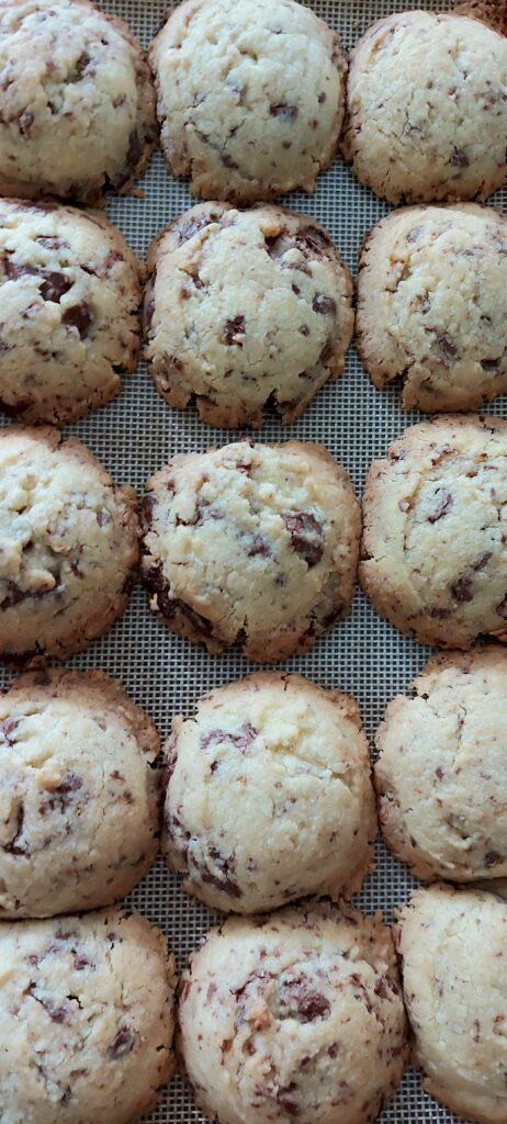 Overhead shot of rows of cookies